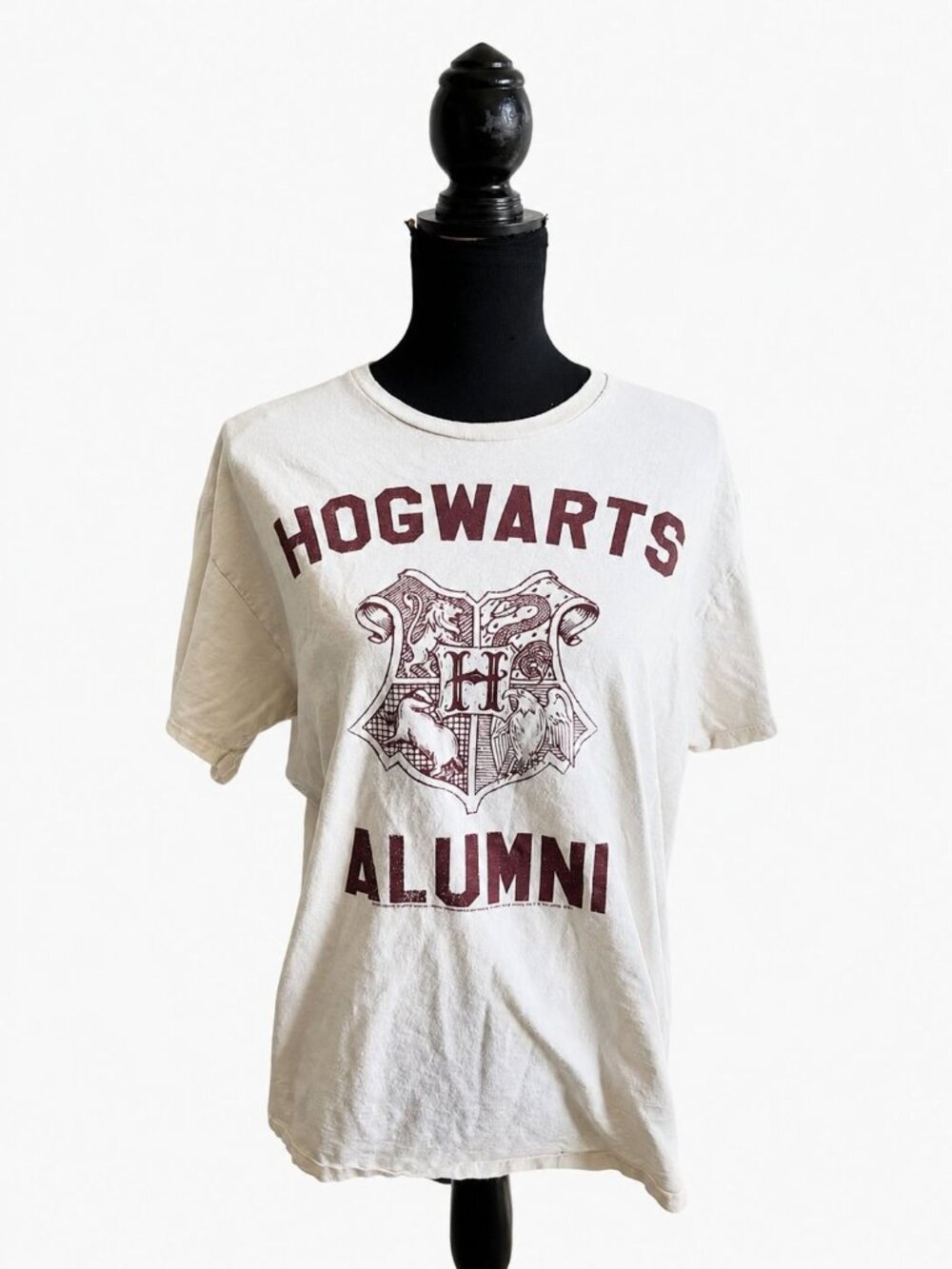 Hogwarts Alumni Graphic Tee | Size L